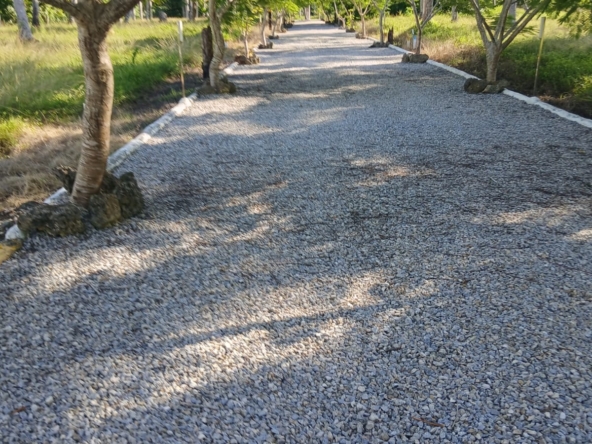 venta-finca-hacienda-mar-rio-san-juan (10)